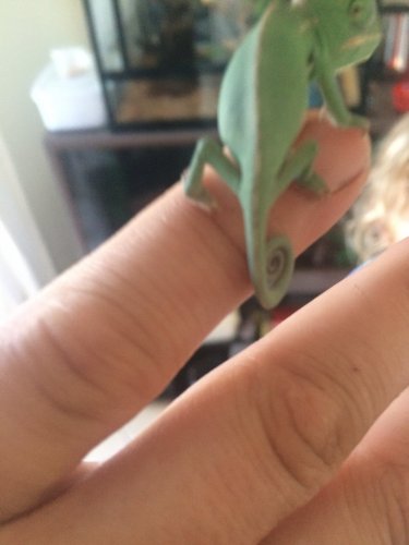 Photo 2015-12-04, 16 09 36.jpg