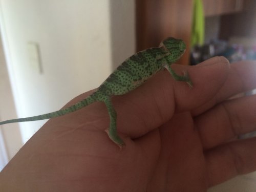 Photo 2015-12-04, 16 13 28.jpg