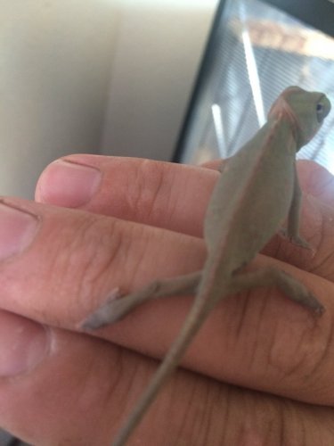 Photo 2015-12-04, 16 16 06.jpg