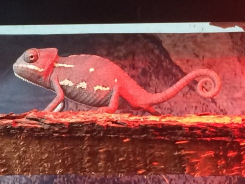 Photo 2015-12-04, 17 40 59.jpg