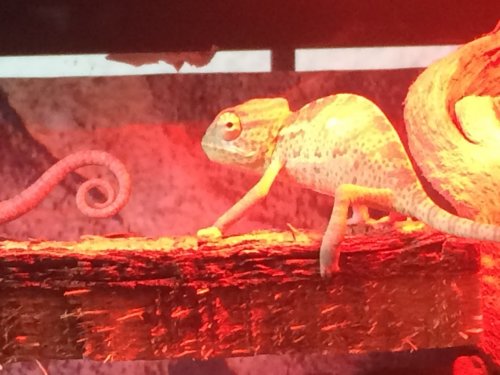 Photo 2015-12-04, 17 41 38.jpg