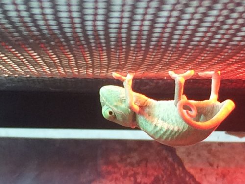 Photo 2015-12-04, 17 42 50.jpg