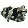 milk frog froglet tab.jpg