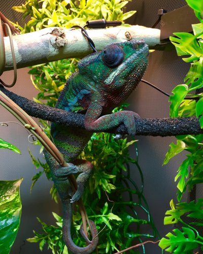 Photo Dec 02, 7 18 35 AM.jpg