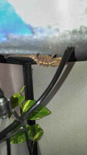 20151215_140435.jpg