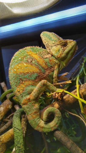 20151220_093629_HDR.jpg