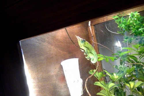 Photo on 12-25-15 at 2.23 PM.jpg