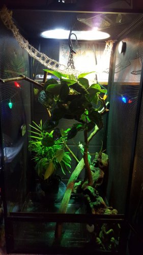 20151224_151836.jpg