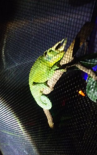 20151225_233508.jpg