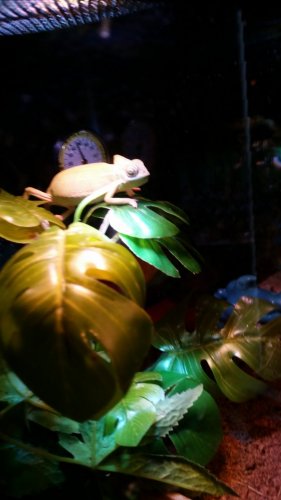 20151226_084959.jpg