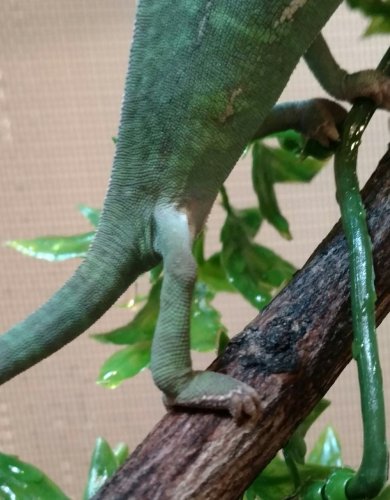 _20160102_174119.JPG
