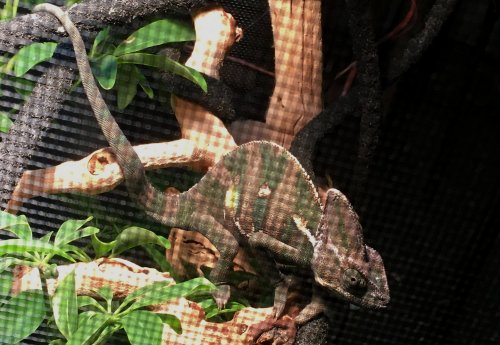 2016-01-11 18.14.07.jpg