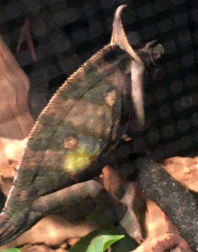 2016-01-11 18.14.09.jpg