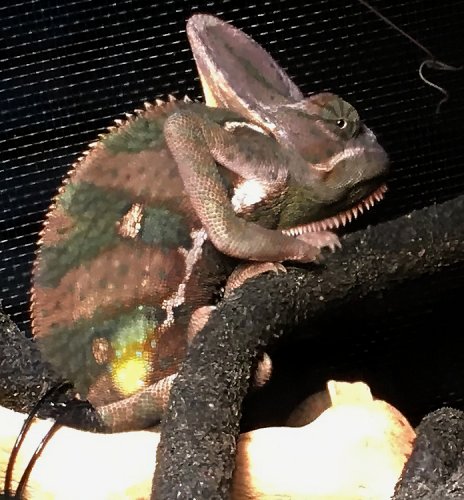 2016-01-11 18.22.41.jpg