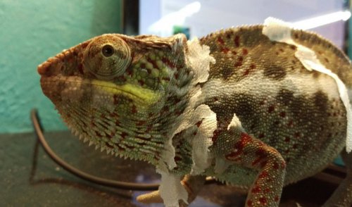IMAG1036_1.jpg