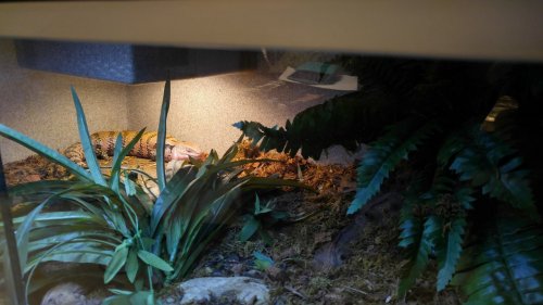 20151203_091300_HDR.jpg