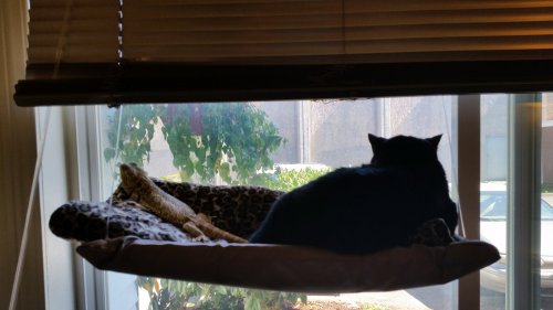 20150910_125243.jpg