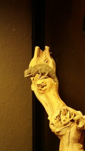 20160120_174657.jpg