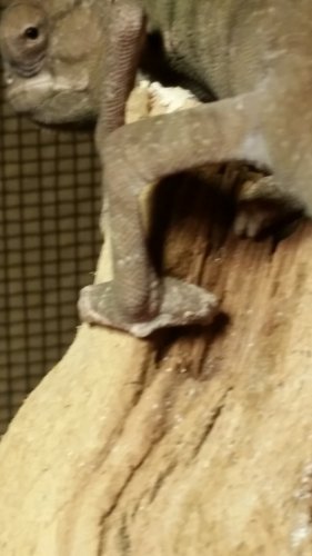 20160120_174807.jpg