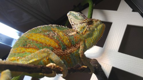 20160122_184347.jpg