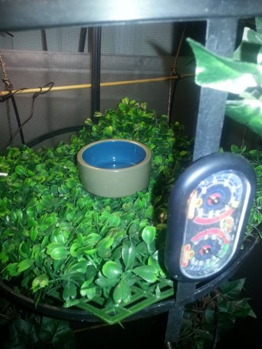 20160122_030421.jpg