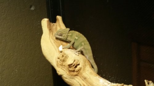 20160128_162058.jpg