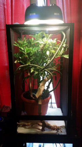 20160131_125857.jpg