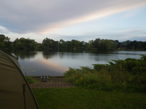 IMGP0817 - Copy - Copy.JPG