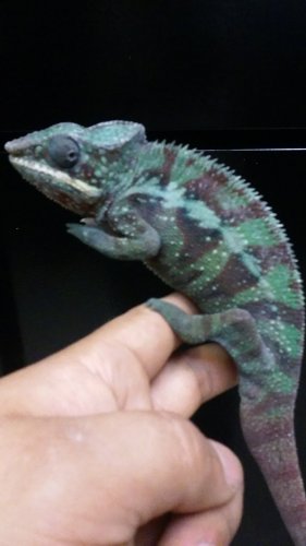 20160206_221423.jpg