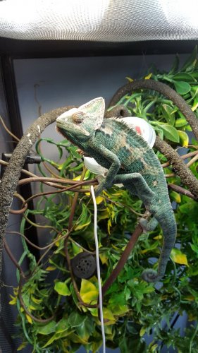 20160208_123816.jpg