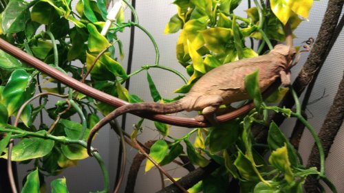 20160208_105449.jpg
