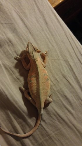 20160210_203925.jpg