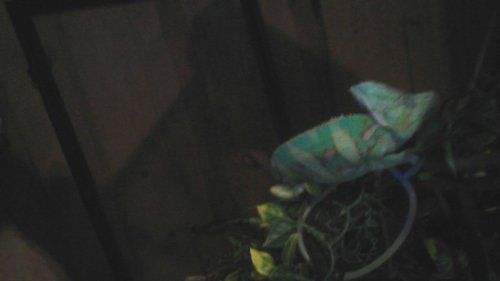 WIN_20160211_195254.JPG