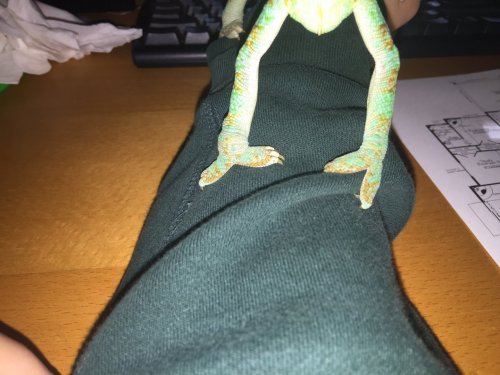image.jpeg