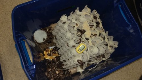 IMAG0463.jpg