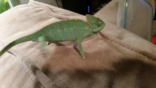 20160220_143114.jpg