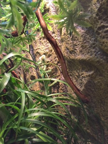 FullSizeRender (1).jpg