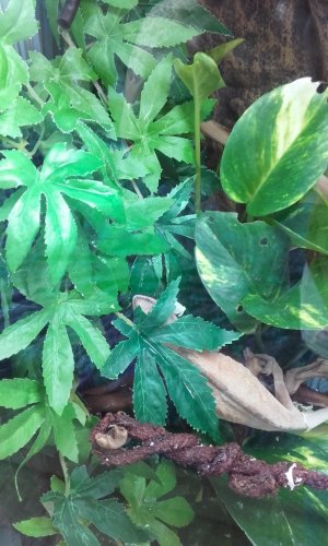 20160226_110605.jpg