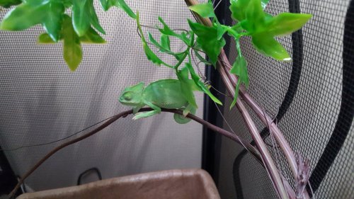 20160220_133534.jpg