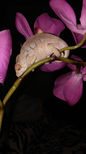 20160226_213127.jpg