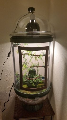20160221_204253.jpg