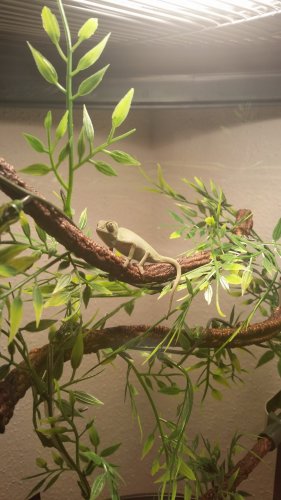 20160221_205003.jpg