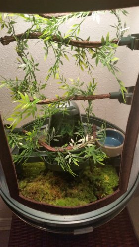 20160221_204313.jpg