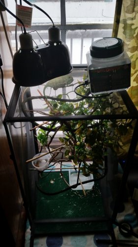 20160302_083412.jpg