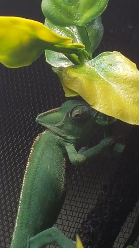 20160302_153708.jpg