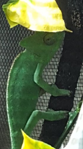 20160302_153603.jpg