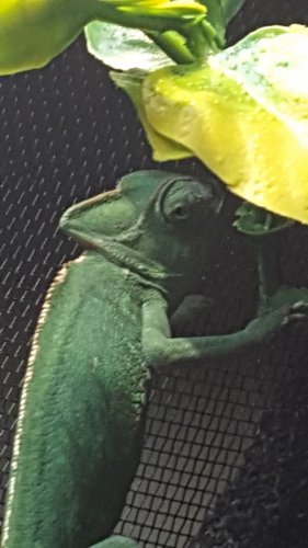 20160302_153646.jpg