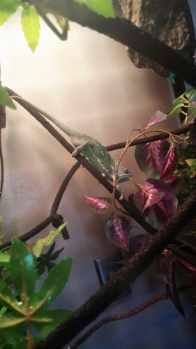 20160303_124734.jpg