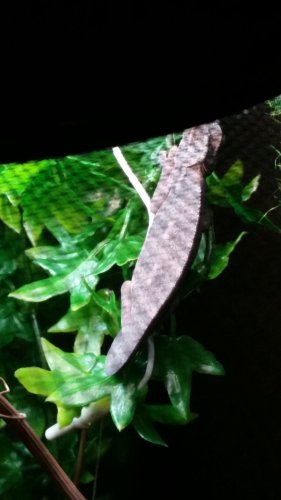 20160306_072929.jpg