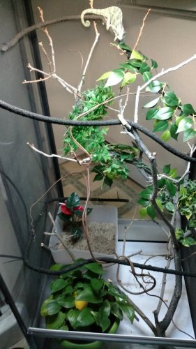 IMG_20160308_184211627.jpg